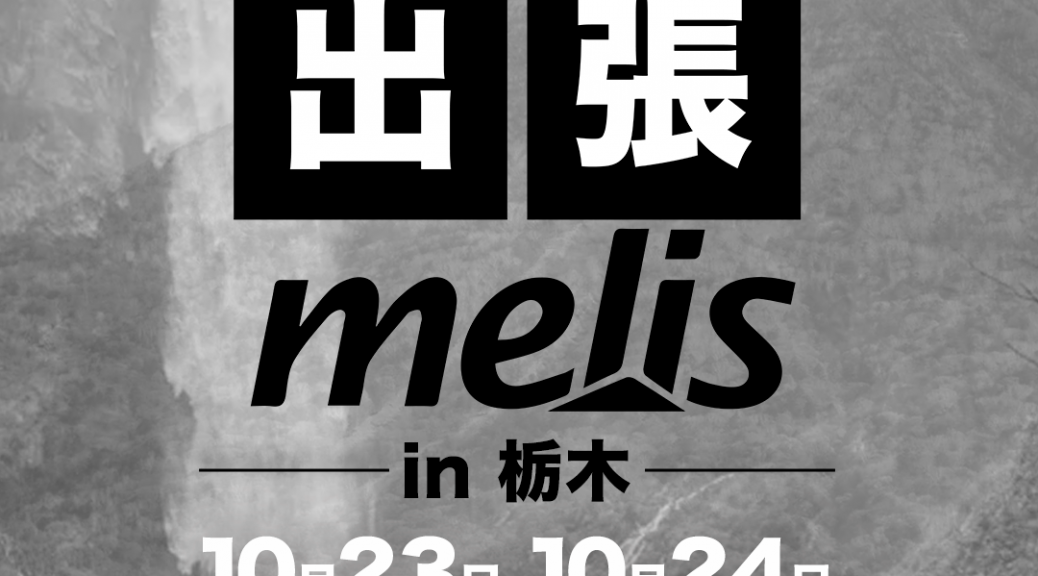 ハンドボール全般 海外スポーツ用品専門ショップ Melis