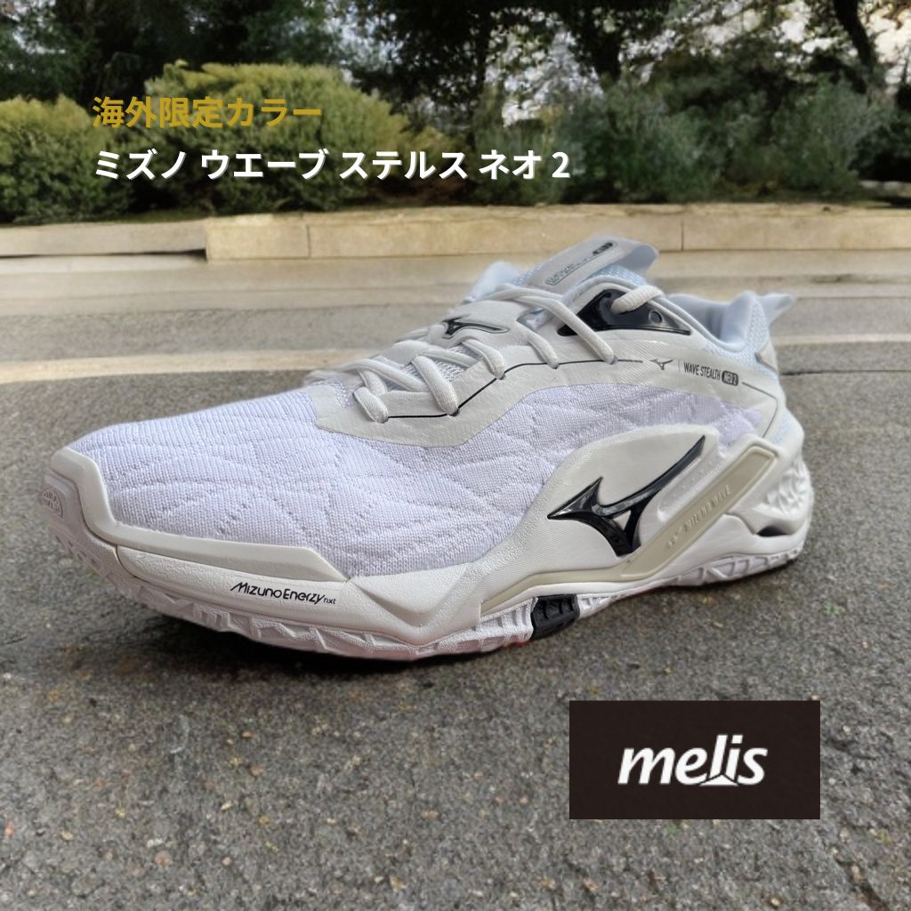 ミズノ ウエーブ ステルス ネオ 2